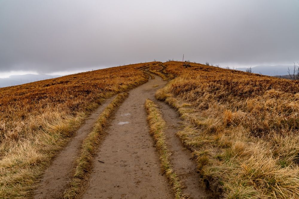 fot. geografia24eu/shutterstock.com