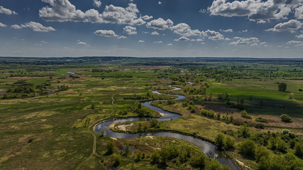 fot. Mike Mareen/shutterstock.com