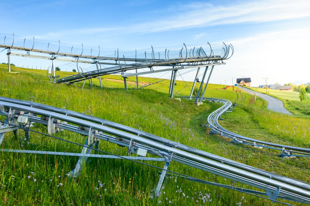 fot. castigatio/shutterstock.com