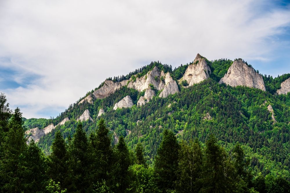 Fot. mehdi33300/shutterstock