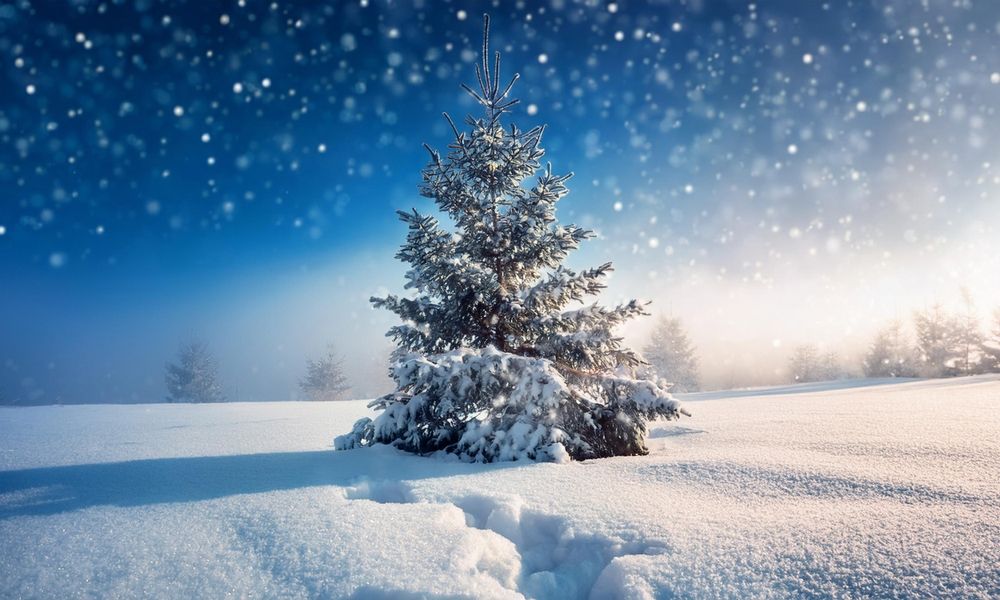 Białe Boże Narodzenie. Autor: JaneteQ. stock.com