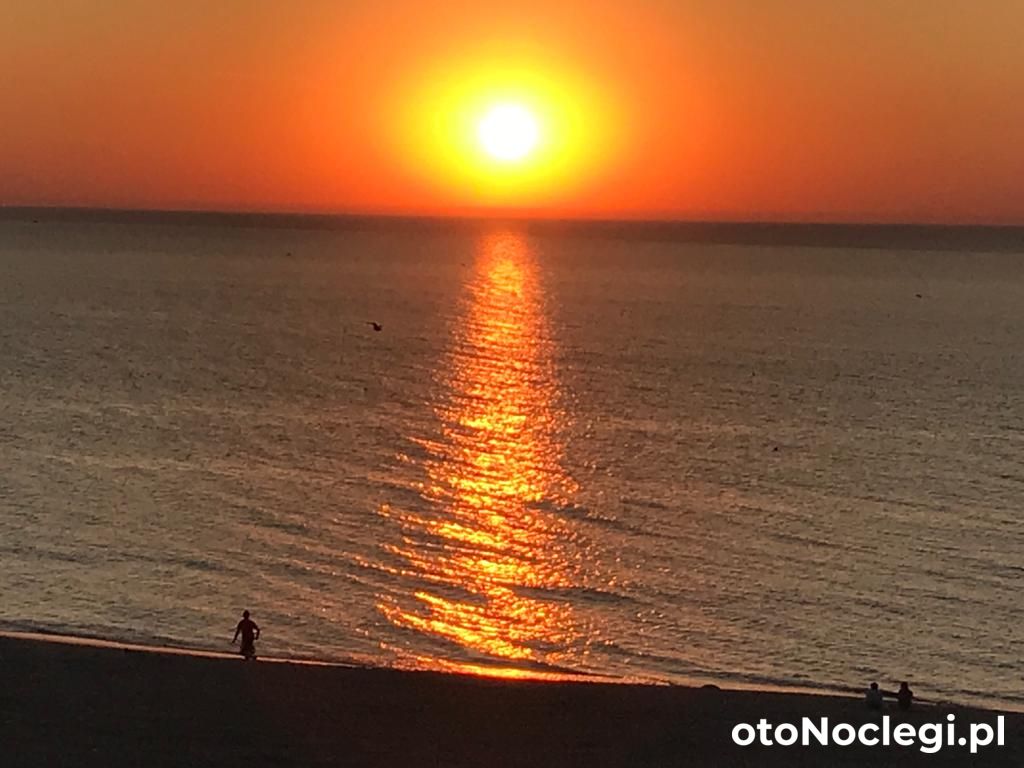 Zdjęcie ukazuje urokliwy park w Darłówku Zachodnim, otoczony gęstym lasem. W centrum znajdują się dwie drewniane altany z ławkami, zapewniające cień i miejsce do odpoczynku. Obok rozciąga się zadbany trawnik z hamakami, idealnymi do relaksu. Po lewej stronie biegnie żwirowa ścieżka, a po prawej stoi