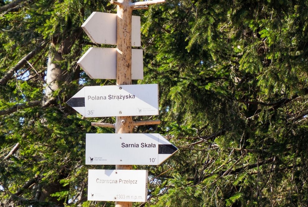 fot. AxOst/shutterstock.com