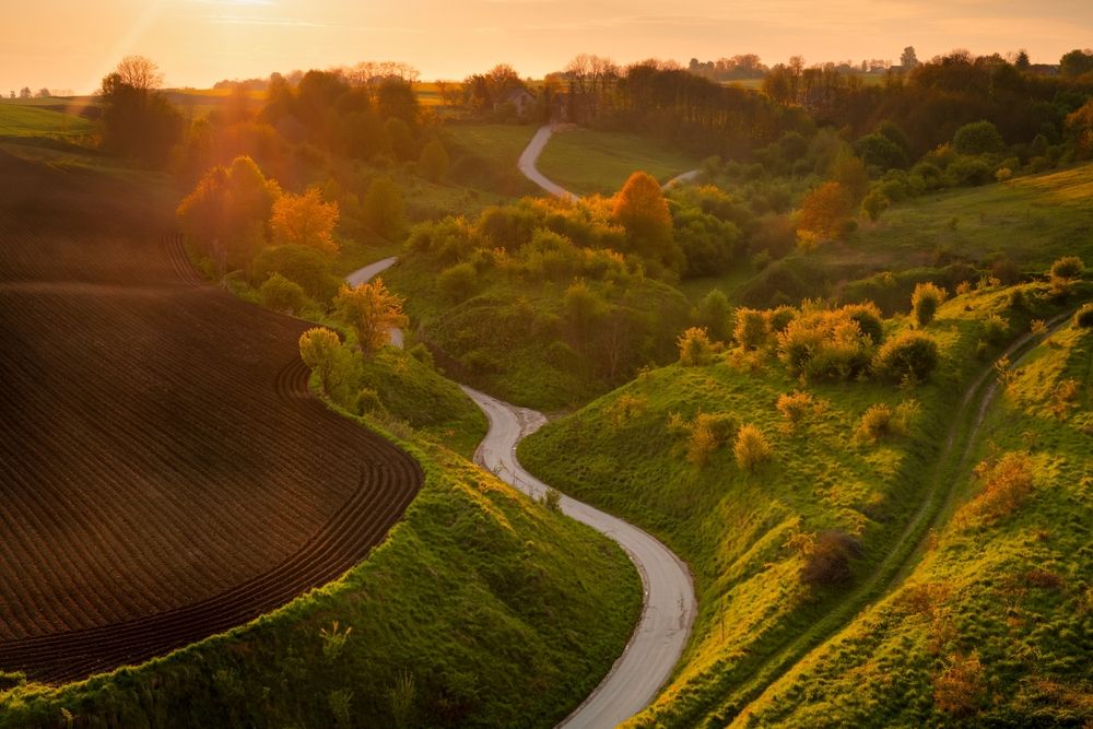 fot. Tomasz Podolski/shutterstock.com