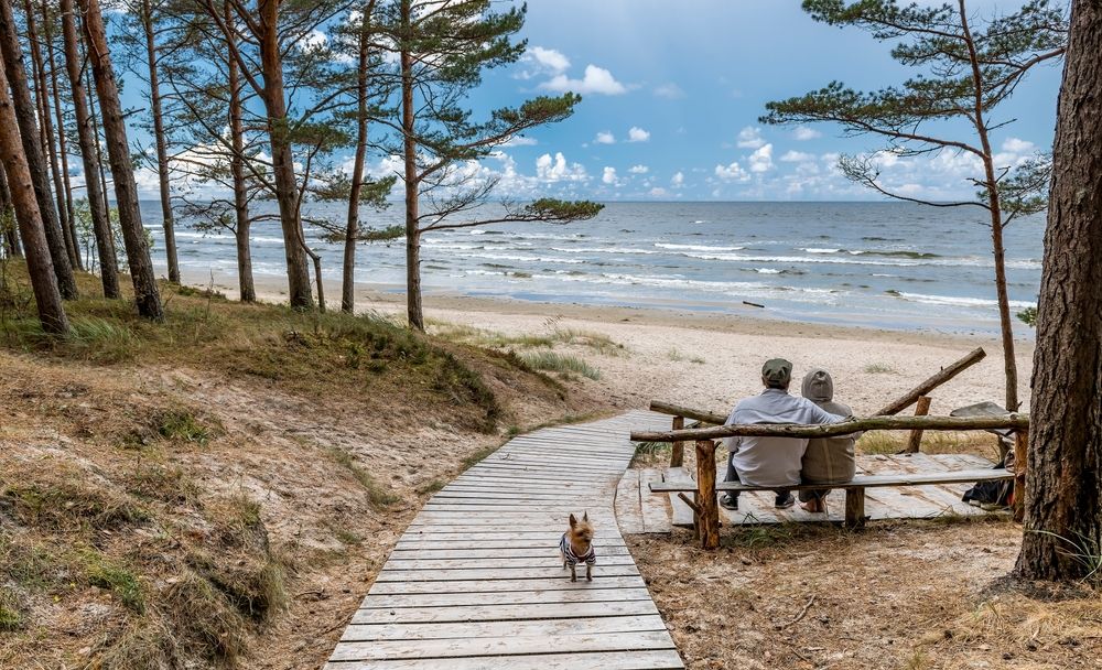 fot. Sergei25/shutterstock.com