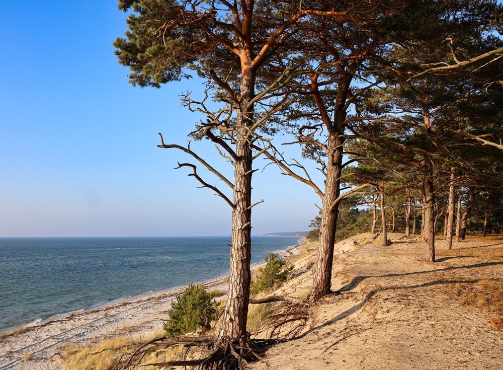 fot. zientar102/shutterstock