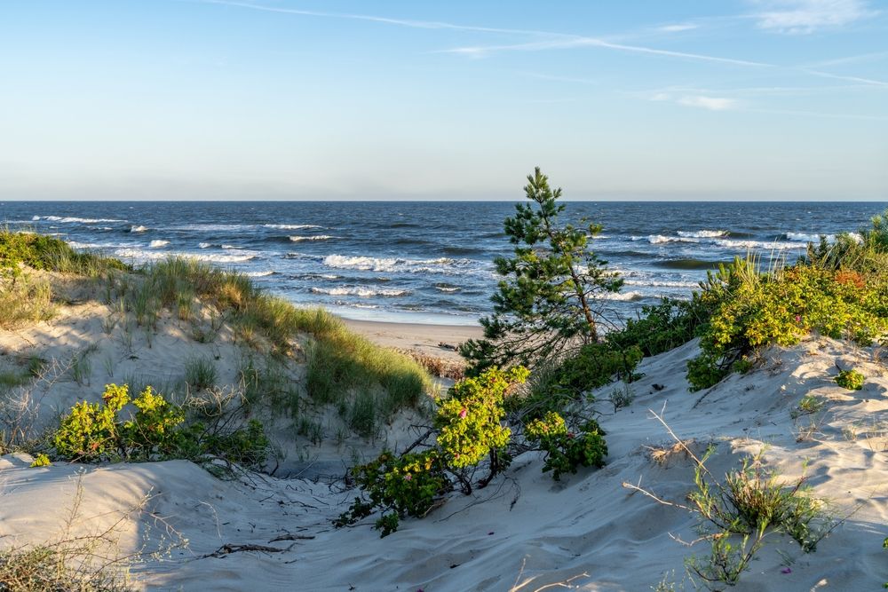 Top 4 noclegi na Mierzei Wiślanej