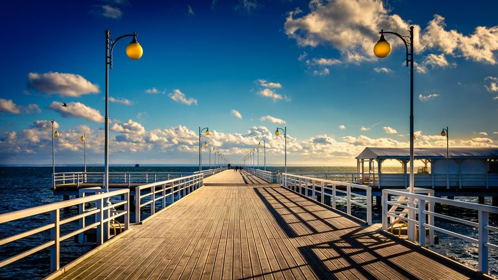 Fot. Grzegorz Sychowski/shutterstock.com