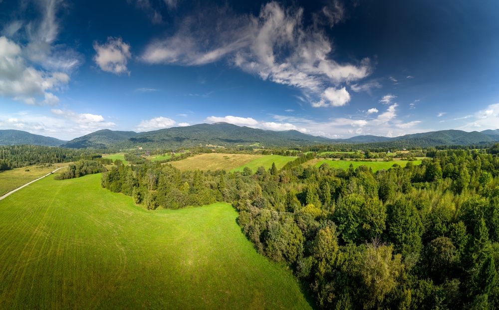 fot. Maciej Pawlik/shutterstock.com