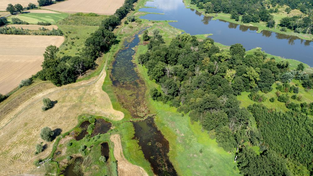 Dolina Dolnej Odry. Andrzej_67: shutterstock.com