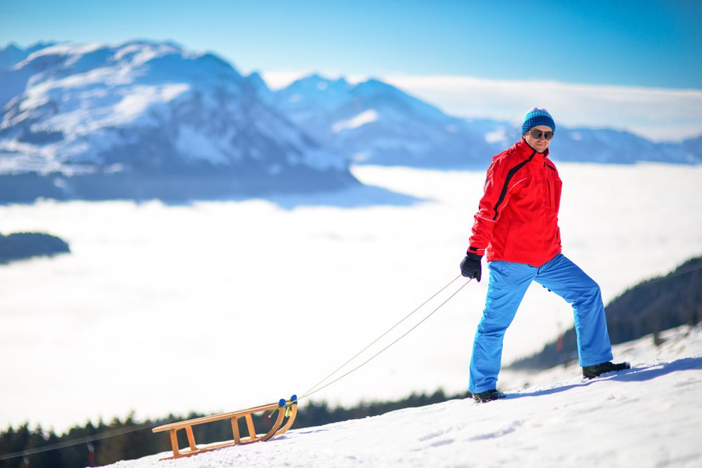 Sanki w górach. Autor: Eva Bocek shutterstock.com