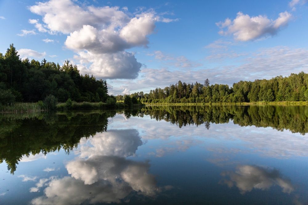 fot. Fotyma/shutterstock.com