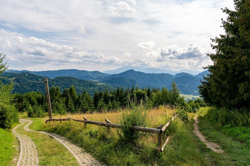 Gdzie warto zjeść w Szczawnicy - top 5 najbardziej polecanych restauracji wg wizytówek Google