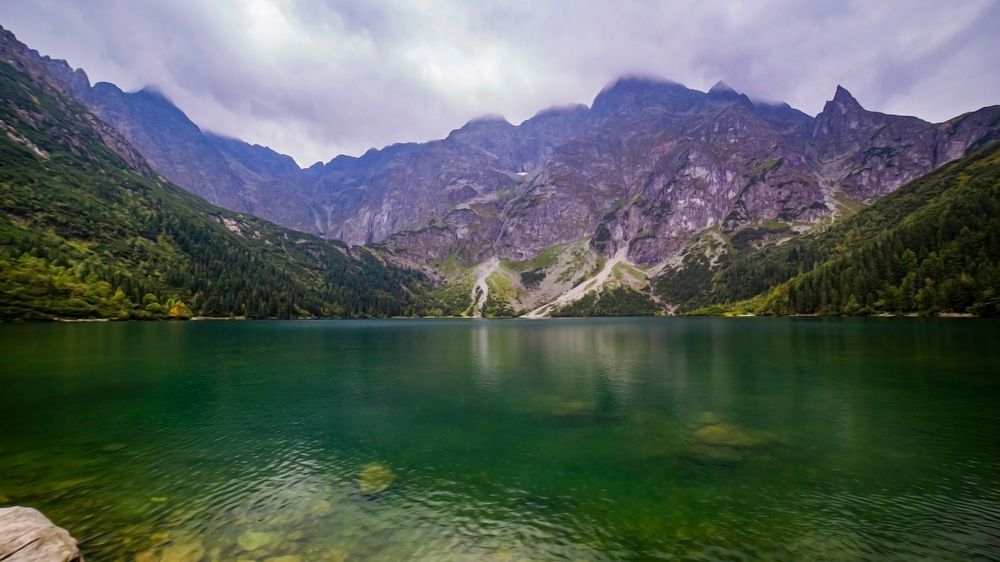 Internet oszalał na punkcie bobra celebryty z Morskiego Oka