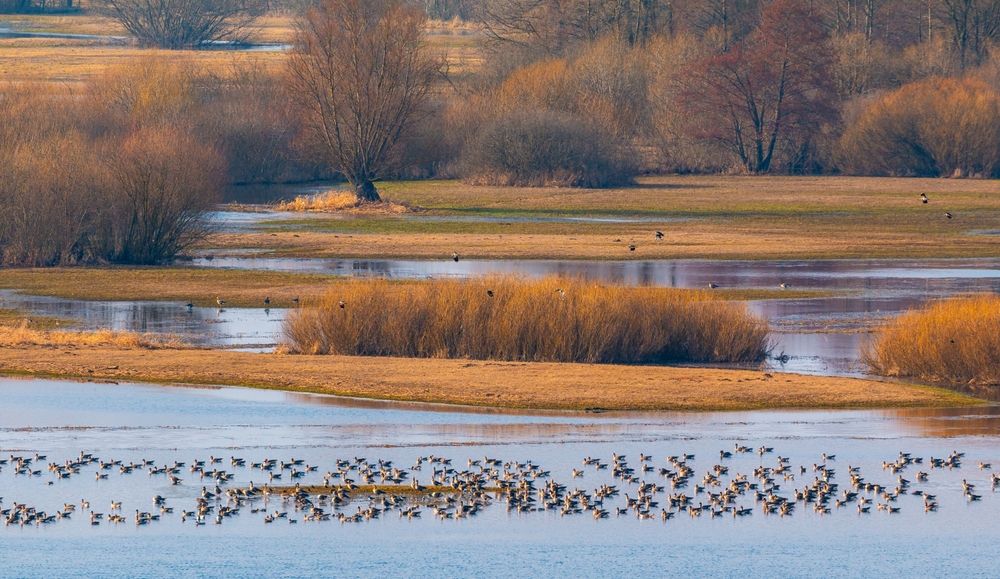 Jaka będzie wiosna 2026 w Polsce?