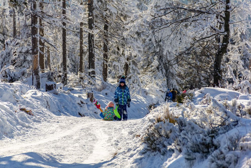 Szczyrk Malinowa Skała to wspaniałe miejsce na sanki i jabłuszko. Autor: BridgeToHorizon shutterstock.com