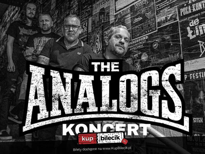Koncert zespołu The Analogs, support: Criminal Tango, Super Potwór