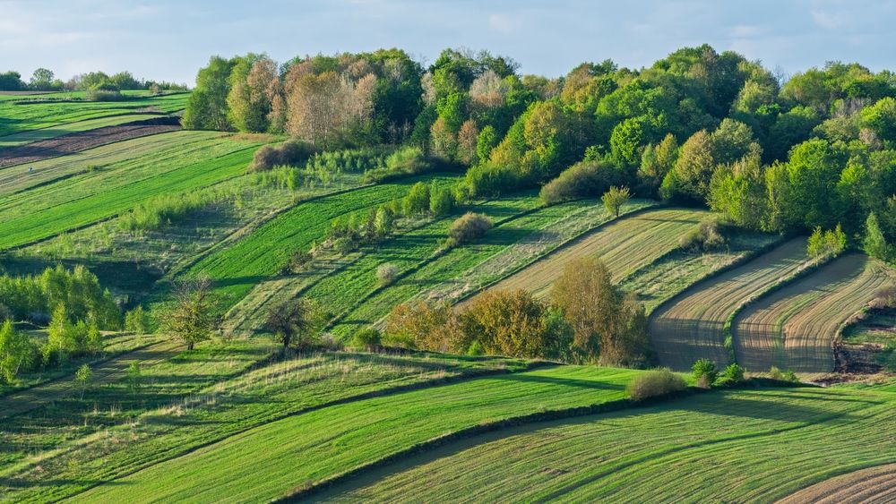 Krajobraz Roztocza. Autor: Andrzej Borowiec/shutterstock.com
