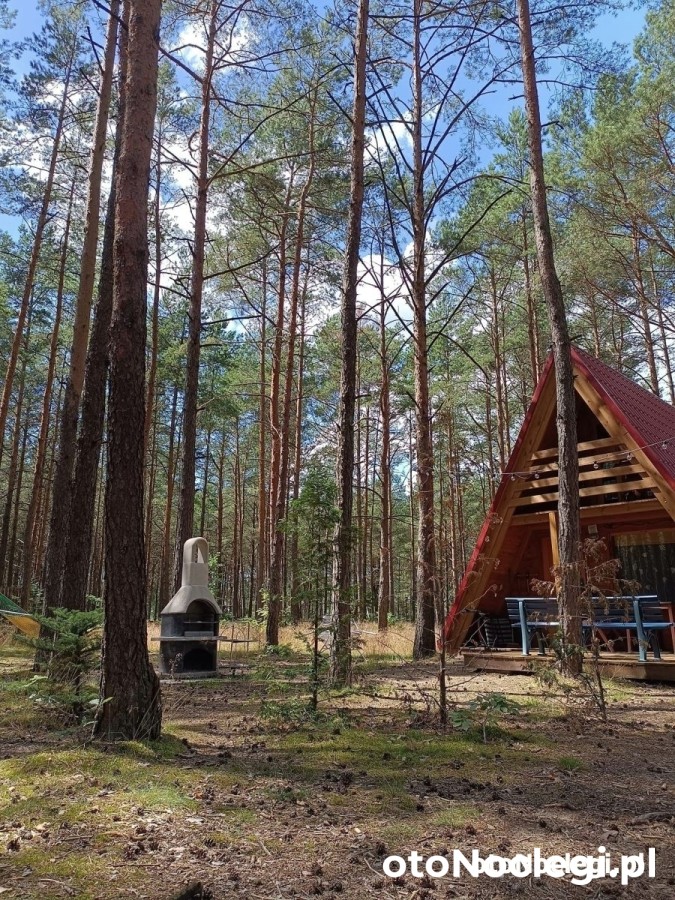 Domki letniskowe Pod Sosenką Ostrowite (1)