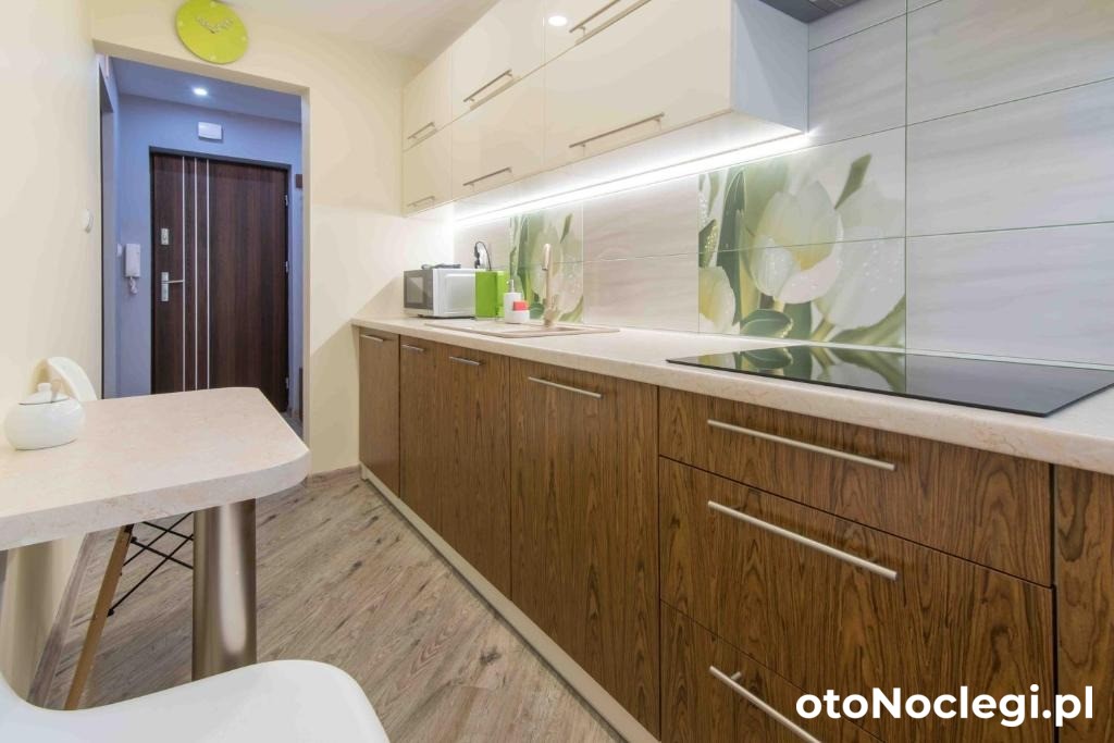 Apartament Cichy Zakątek Zakopane (7)