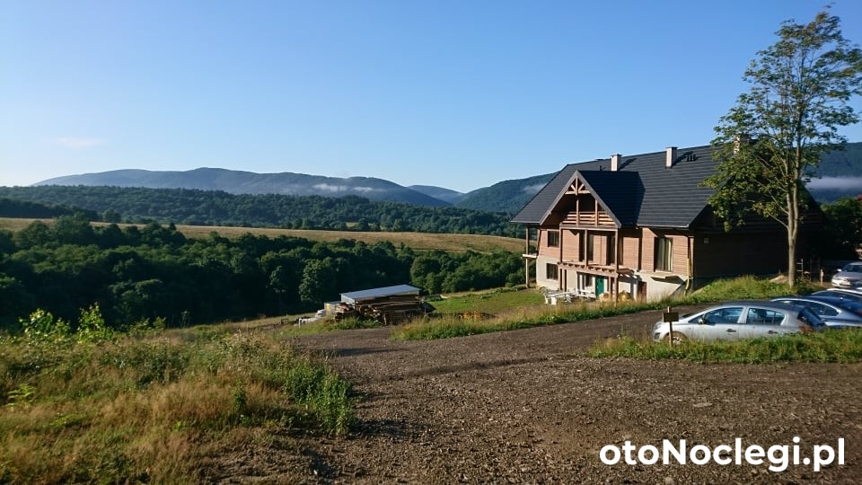 Dużo zielenie i przestrzeni (1)