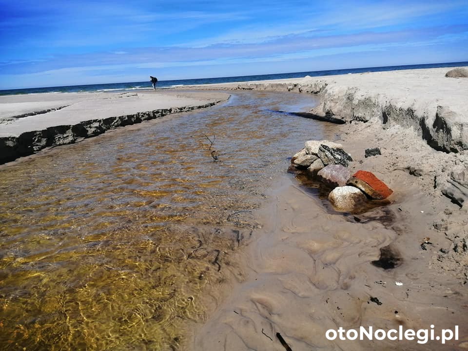 Pokoje Gościnne Przy Lesie Białogóra (7) Pokoje Gościnne Przy Lesie Białogóra (7)