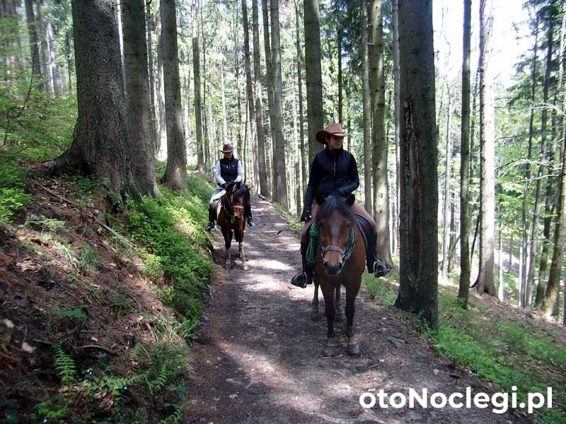 Pokoje Gościnne U Ewy Agroturystyka Ujsoły (9)