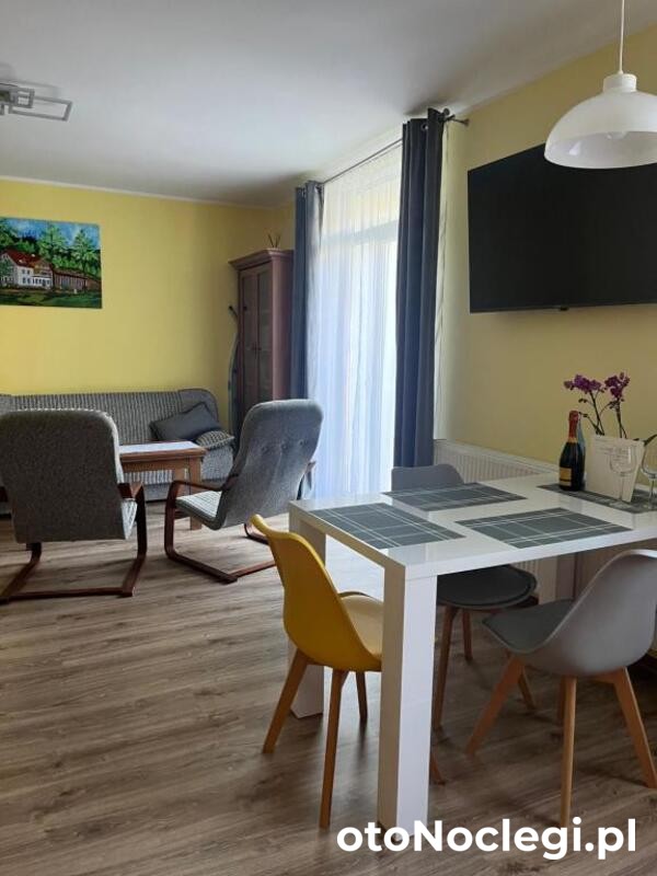 Apartament Salamandra Uno - Stronie Śląskie  (1)