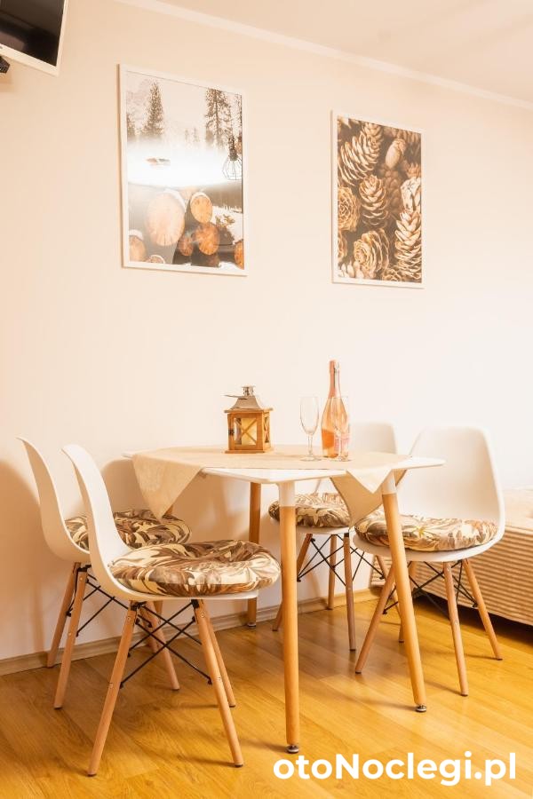 Willa Aleksandrzak Zakopane (3)