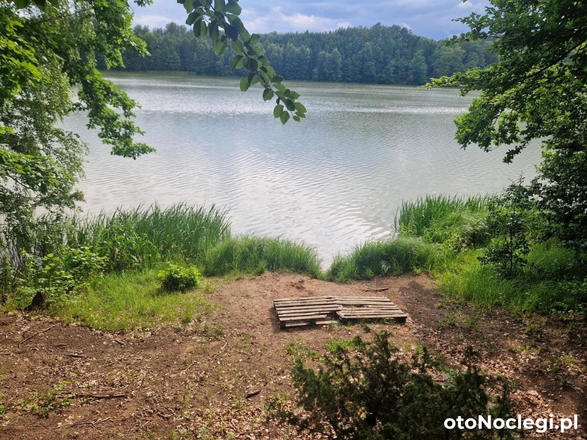 Domek Adam Kościerzyna (42)