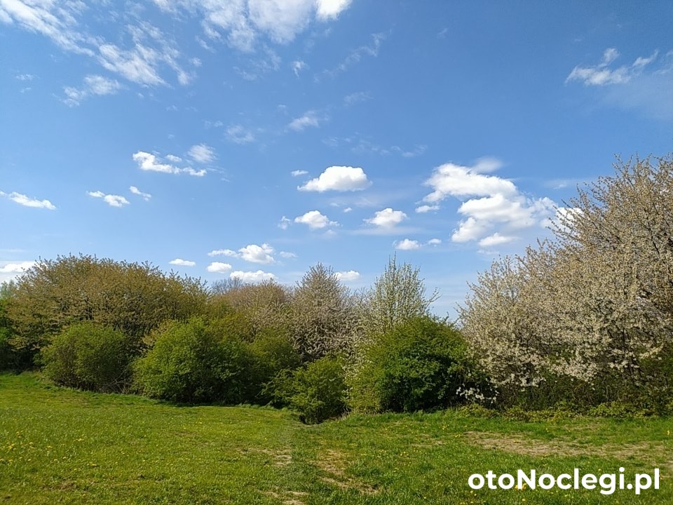 Wczasy Sandi Władysławowo (44)