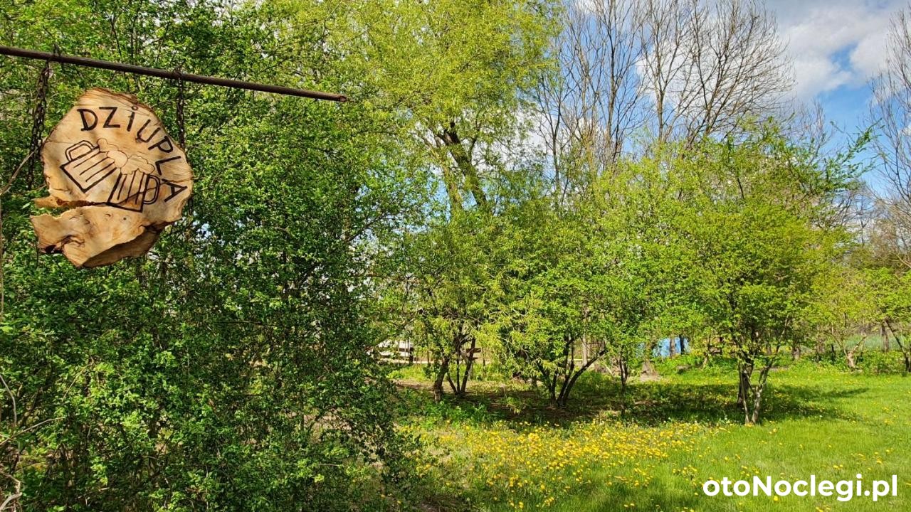 Słoneczna Dolina Goniądz (20)