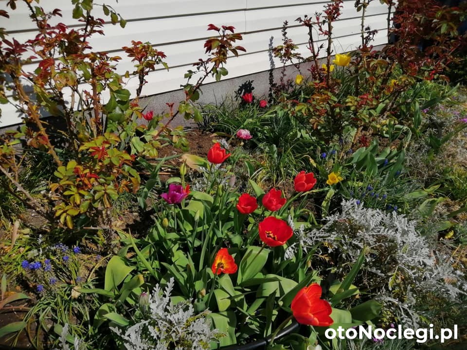 Pokoje Gościnne Przy Lesie Białogóra (11) Pokoje Gościnne Przy Lesie Białogóra (11)