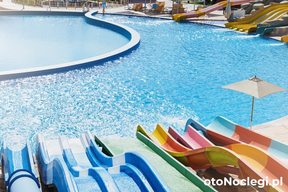 Katarzyna Hurova/shutterstock (1)