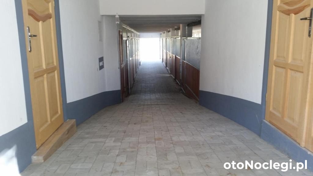 Agroturystyka Stylowy Pokój w Stajni Krajno Zagórze (21)