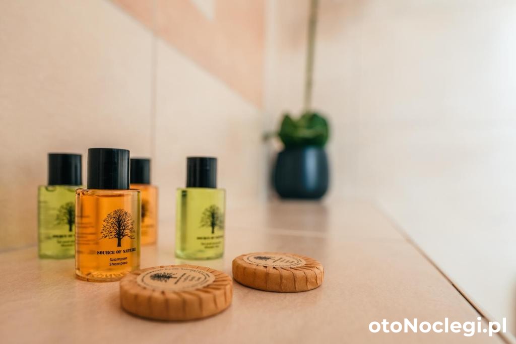 Apartamenty Kamieniec No5 Zakopane (10)