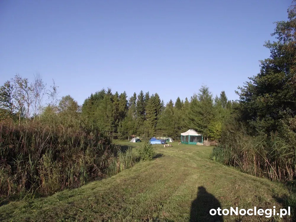 Apartamenty Alina i kort tenisowy Kartuzy (45)