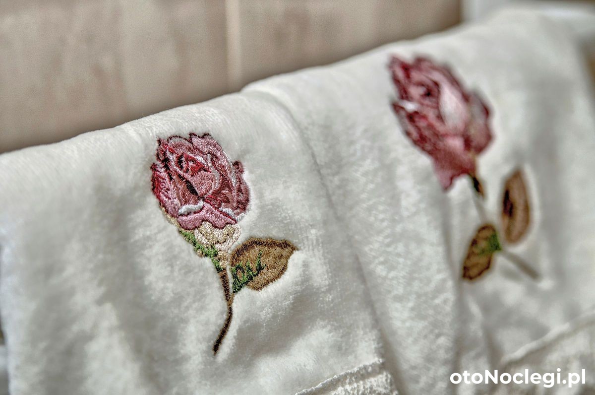 Willa Topór Witów (67)