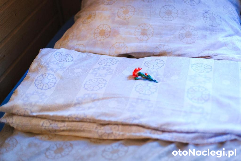 Domki Letniskowe Zygmunt Kopalino (12) Domki Letniskowe Zygmunt Kopalino (12)