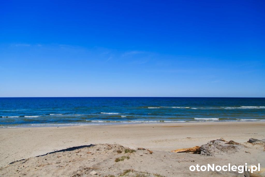 Domki Letniskowe Zygmunt Kopalino (16) Domki Letniskowe Zygmunt Kopalino (16)