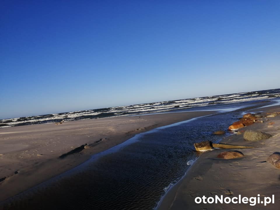 Pokoje Gościnne Przy Lesie Białogóra (9) Pokoje Gościnne Przy Lesie Białogóra (9)