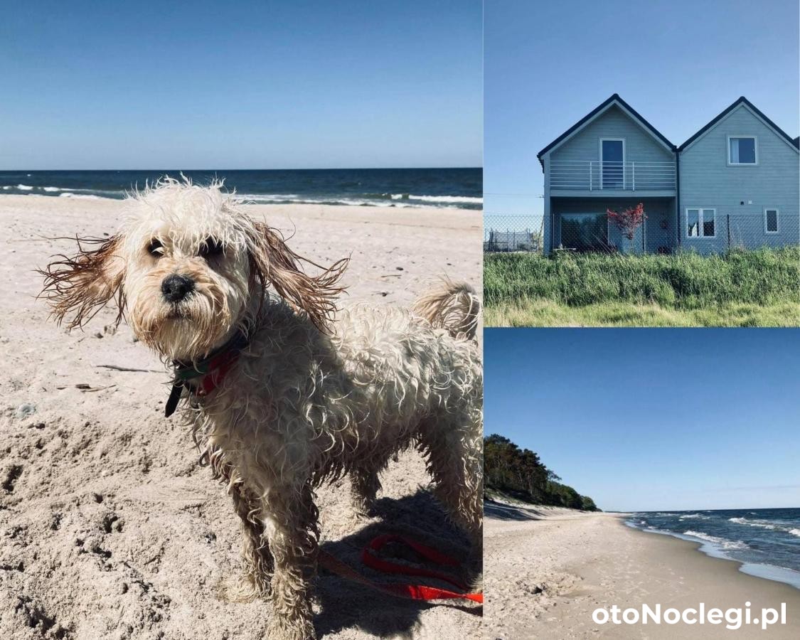 MM Apartments Niechorze (14)