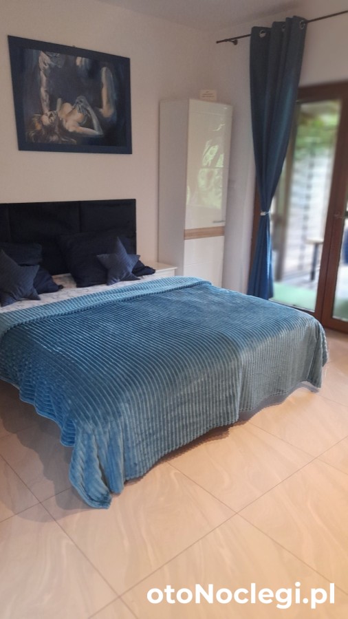 WILLA GRACJA Wisła Wisła (52)