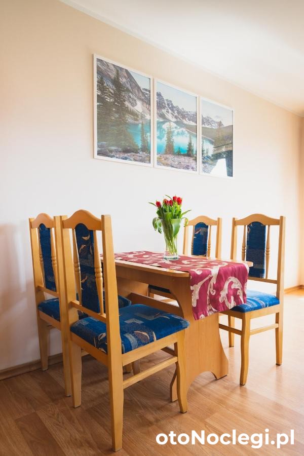 Willa Aleksandrzak Zakopane (9)