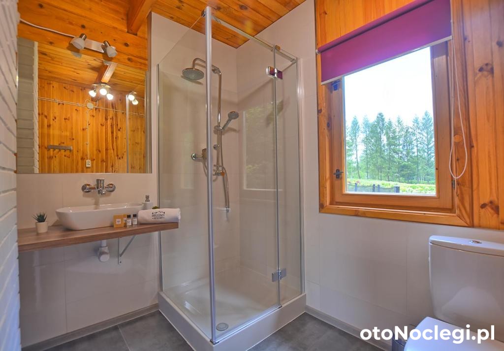 Bieszczady Resort Werlas (3)