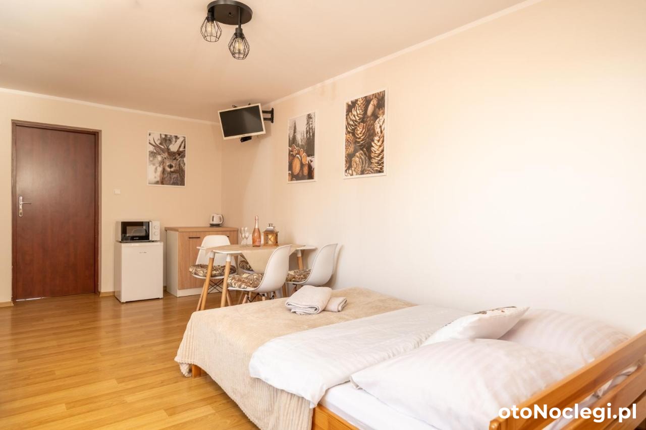 Willa Aleksandrzak Zakopane (21)