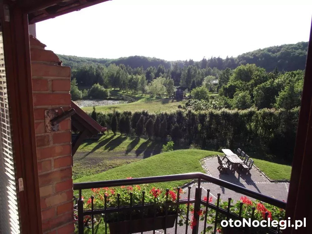 Apartamenty Alina i kort tenisowy Kartuzy (35)