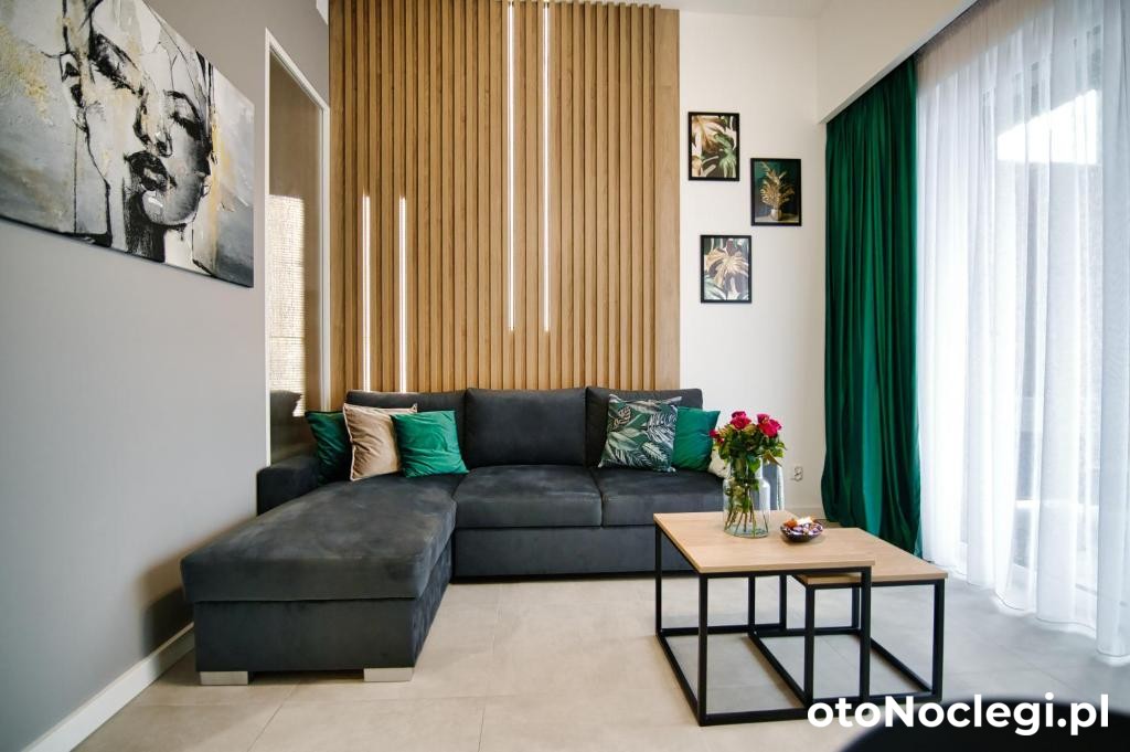 Apartament Loft Zarzecze (10)