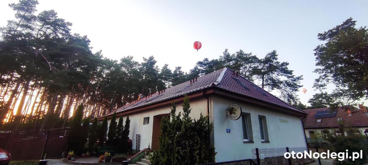 Sosnówka Pokoje Gościnne Borne Sulinowo (1)
