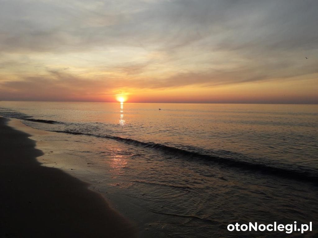 GAMA Domki Gąski (26) GAMA Domki Gąski (26)